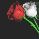 8 marzo 2020